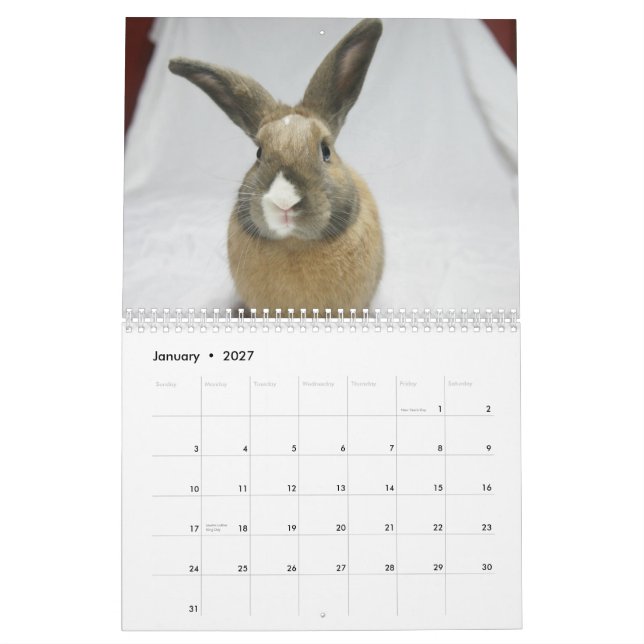MHRR Honeybadger Bunny Rabbit 12 month calendar (Jan 2027)