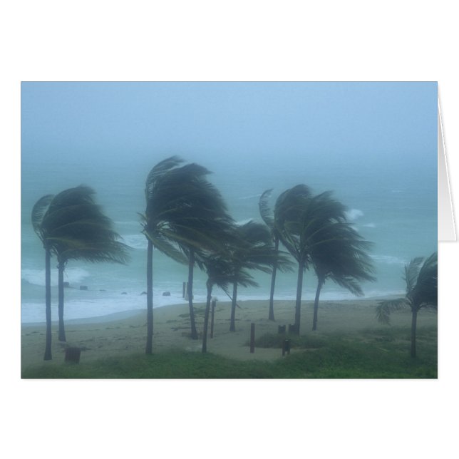 Miami Beach, Florida, hurricane winds lashing (Front Horizontal)