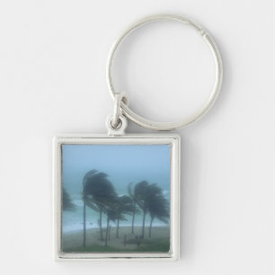 Miami Beach, Florida, hurricane winds lashing Key Ring