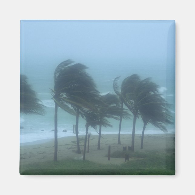 Miami Beach, Florida, hurricane winds lashing Magnet (Front)