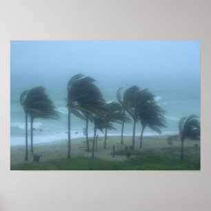 Miami Beach, Florida, hurricane winds lashing Poster