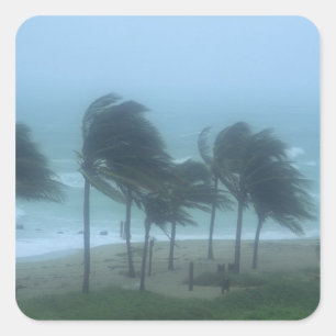 Miami Beach, Florida, hurricane winds lashing Square Sticker