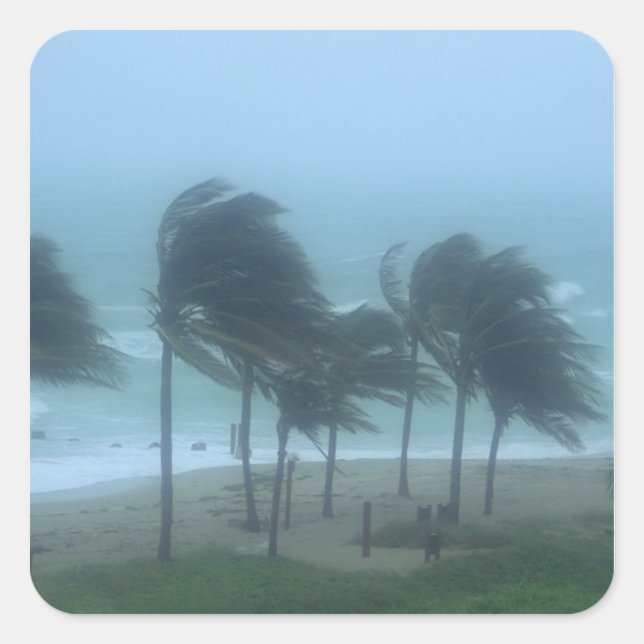 Miami Beach, Florida, hurricane winds lashing Square Sticker (Front)
