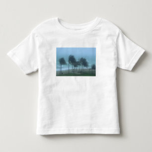 Miami Beach, Florida, hurricane winds lashing Toddler T-Shirt