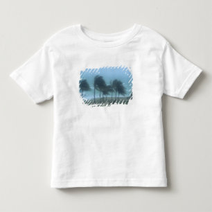 Miami Beach, Florida, hurricane winds lashing Toddler T-Shirt