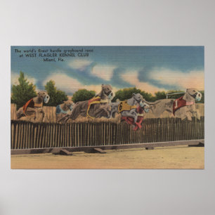Miami, FL - Greyhound Dog Race at Kennel Club Poster