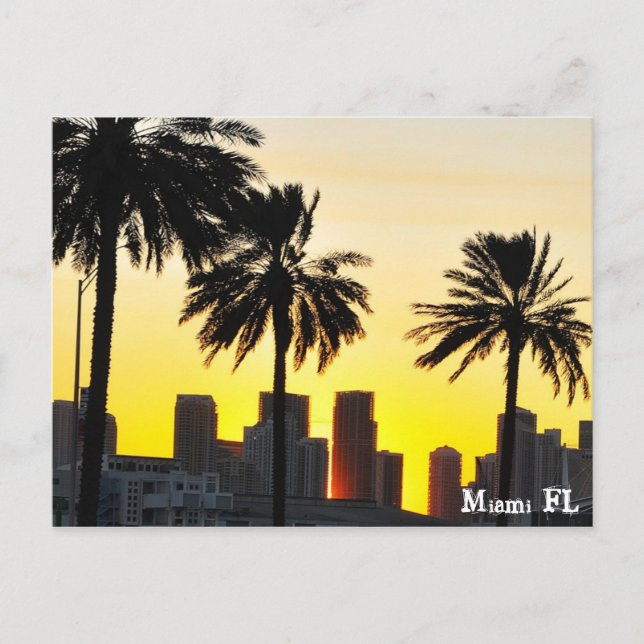 Miami FL Postcard (Front)