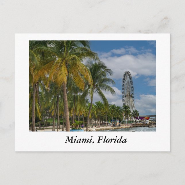 Miami Florida and Biscayne Bay Postcard (Front)