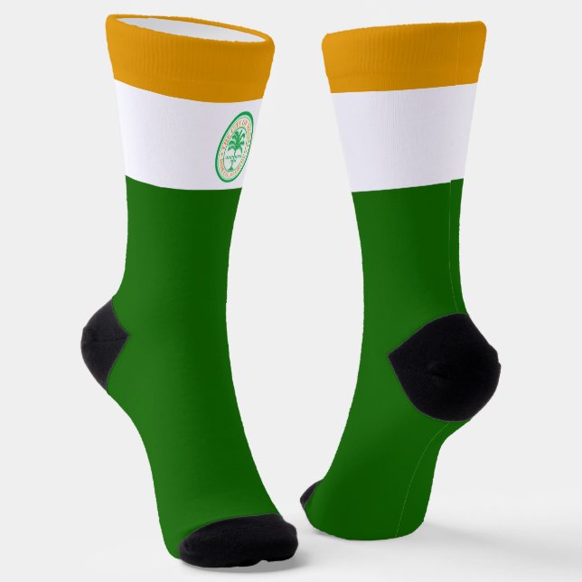 Miami (Florida) city flag Socks (Angled)