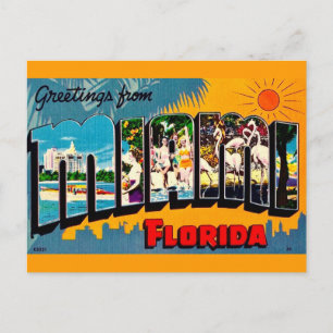 Miami Florida Colourful Greeting Postcard