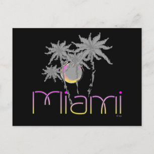 Miami, Florida Palms Cool Postcard