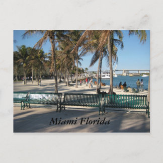 Miami Florida Postcard