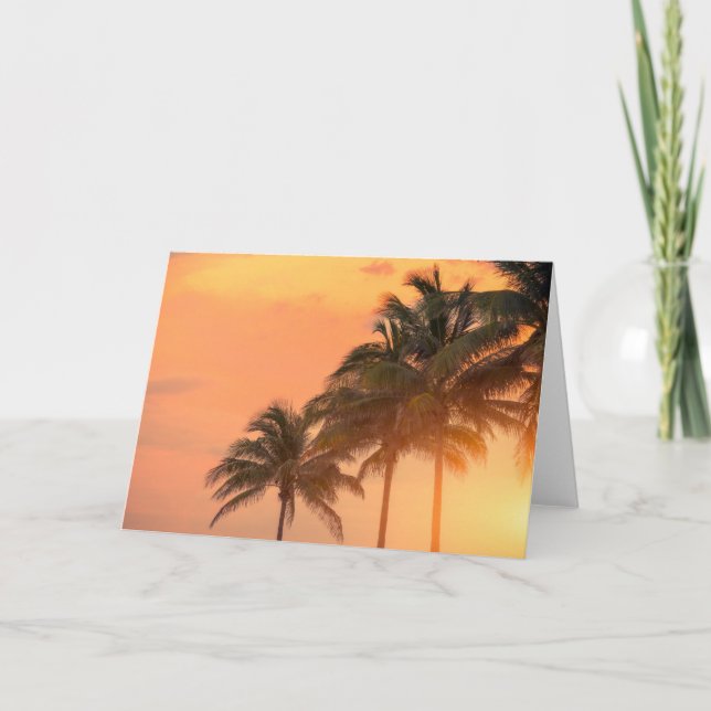 Miami Palms Card (Front)