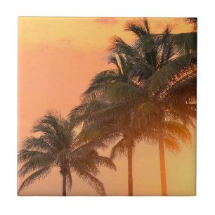 Miami Palms Ceramic Tile