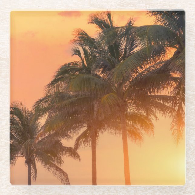 Miami Palms Glass Coaster (Front)