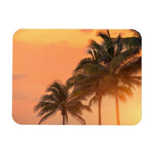 Miami Palms Magnet
