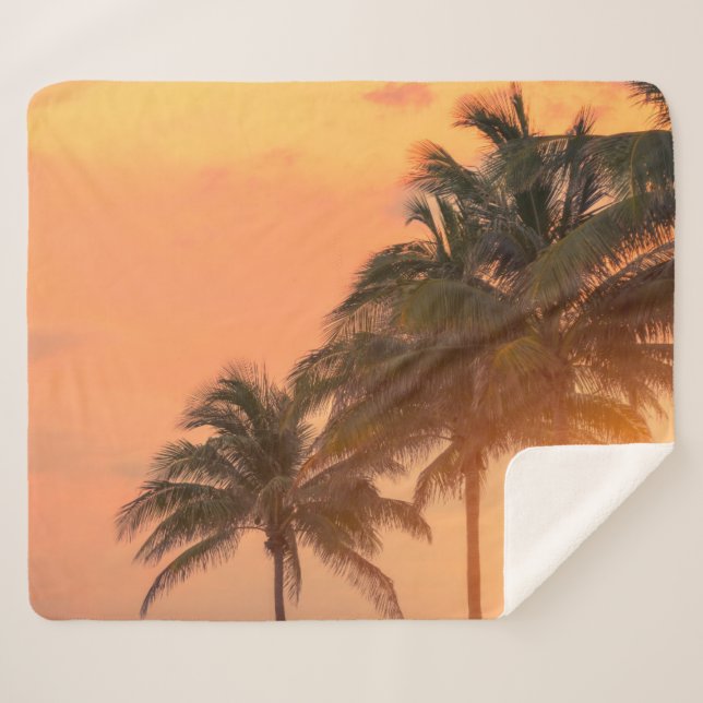 Miami Palms Sherpa Blanket (Front (Horizontal))