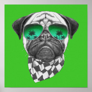 Miami Pug Poster