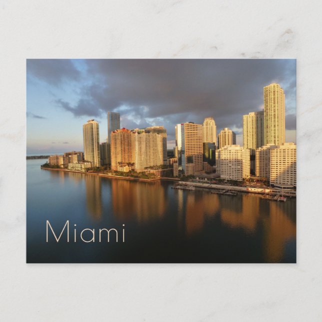 Miami Skyline and Reflection Postcard (Front)