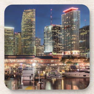 Miami skyline city in Florida Coaster