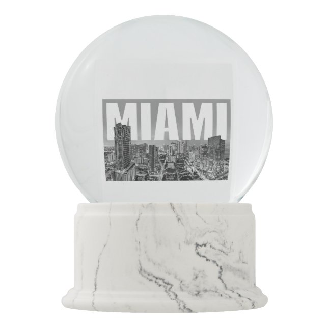 Miami Snow Globe (Front)