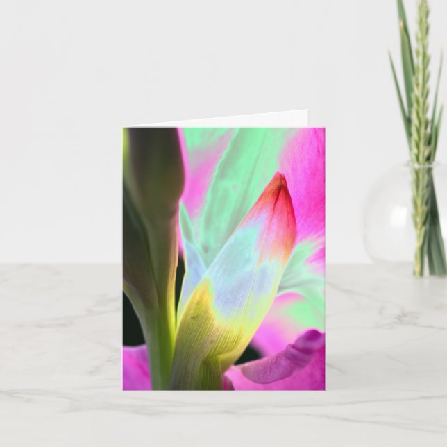 Miami Style Floral Blank Folded Note Card (Front)