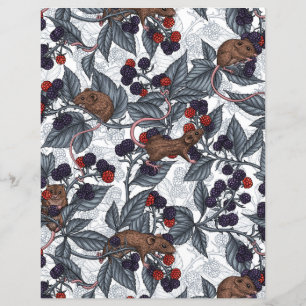 Mice and blackberries on white