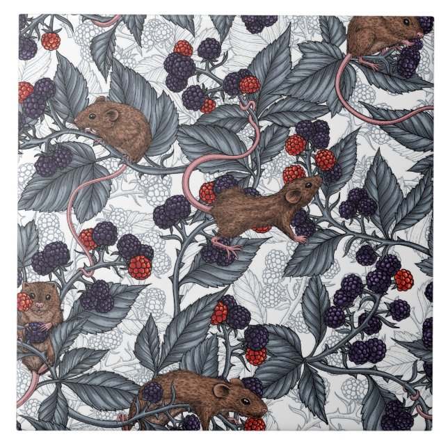 Mice and blackberries on white ceramic tile (Front)