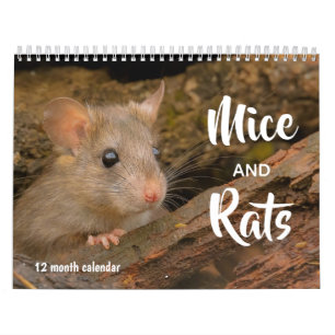 Mice and Rats 2026 Calendar
