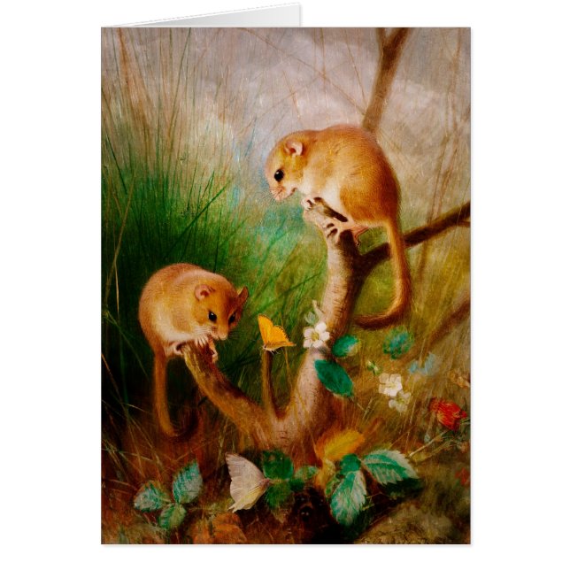 Mice are Nice (Front)