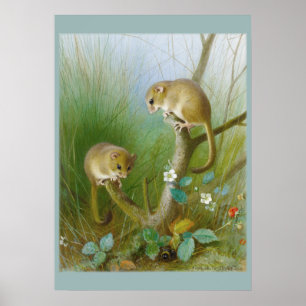 Mice CC0123 Kid's Room Poster