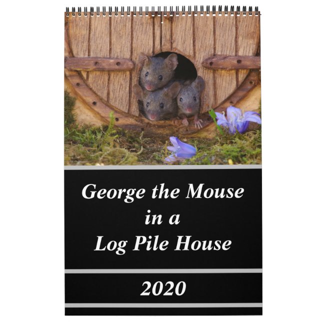 Mice - George the mouse in a log pile house Calendar (Cover)
