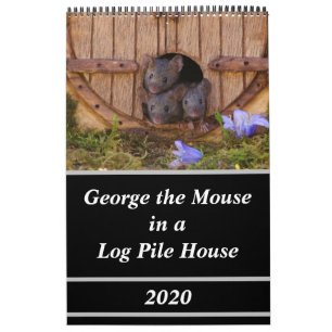 Mice - George the mouse in a log pile house Calendar