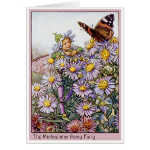 Michaelmas Daisy Fairy