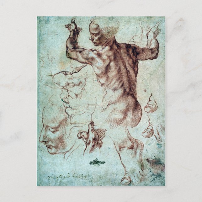 Michelangelo Buonarroti Studies for Libyan Sibyl Postcard (Front)