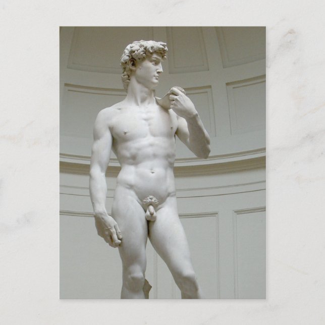 Michelangelo Renaissance Art Postcard (Front)