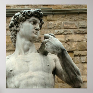 Michelangelo's David 1 Poster