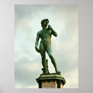 Michelangelo's David 2 Poster