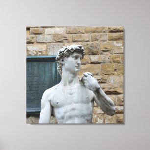 Michelangelo's David Canvas Print