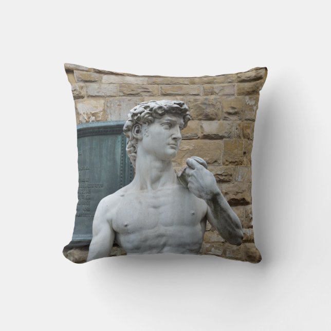Michelangelo's David Cushion (Front)