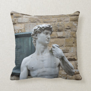 Michelangelo's David Cushion