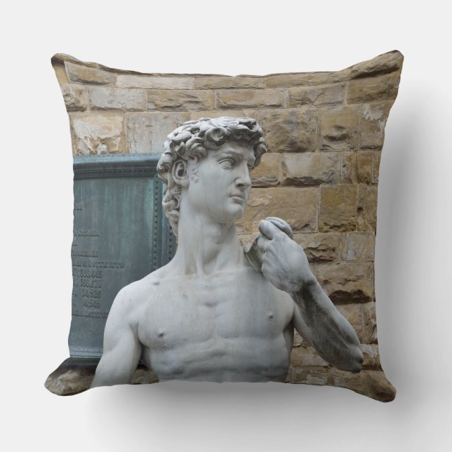Michelangelo's David Cushion (Front)