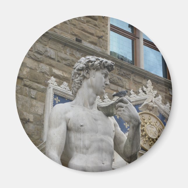 Michelangelo's David, Florence Italy Magnet (Front)