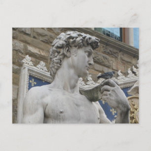 Michelangelo's David, Florence Italy Postcard