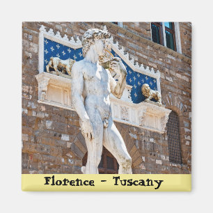 Michelangelo's David - Florence, Tuscany, Italy Magnet