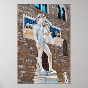 Michelangelo's David - Florence, Tuscany, Italy Poster