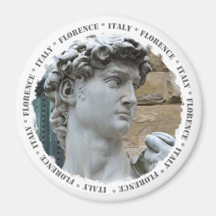 Michelangelo's David Magnet