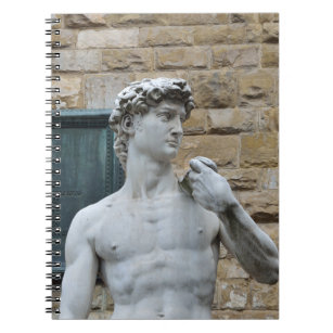 Michelangelo's David Notebook