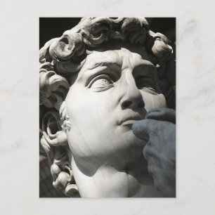 Michelangelo's David Postcard