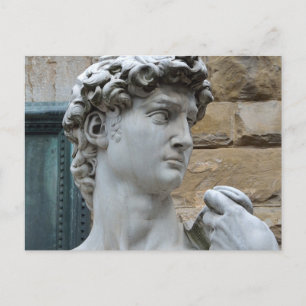 Michelangelo's David Postcard
